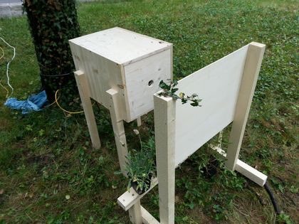 Eine Webcam nimmt den Ausdruck der Uni-Webseite auf einer Grünfläche auf